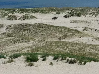 Dünenlandschaft auf der Kurischen Nehrung